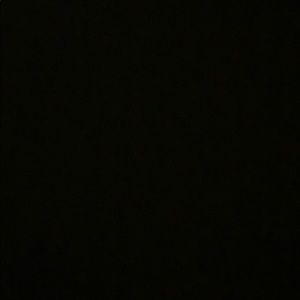 Meet your Posher, Daniela